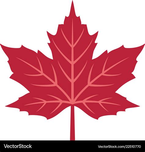 maple leaf vector|free maple leaf pictures.